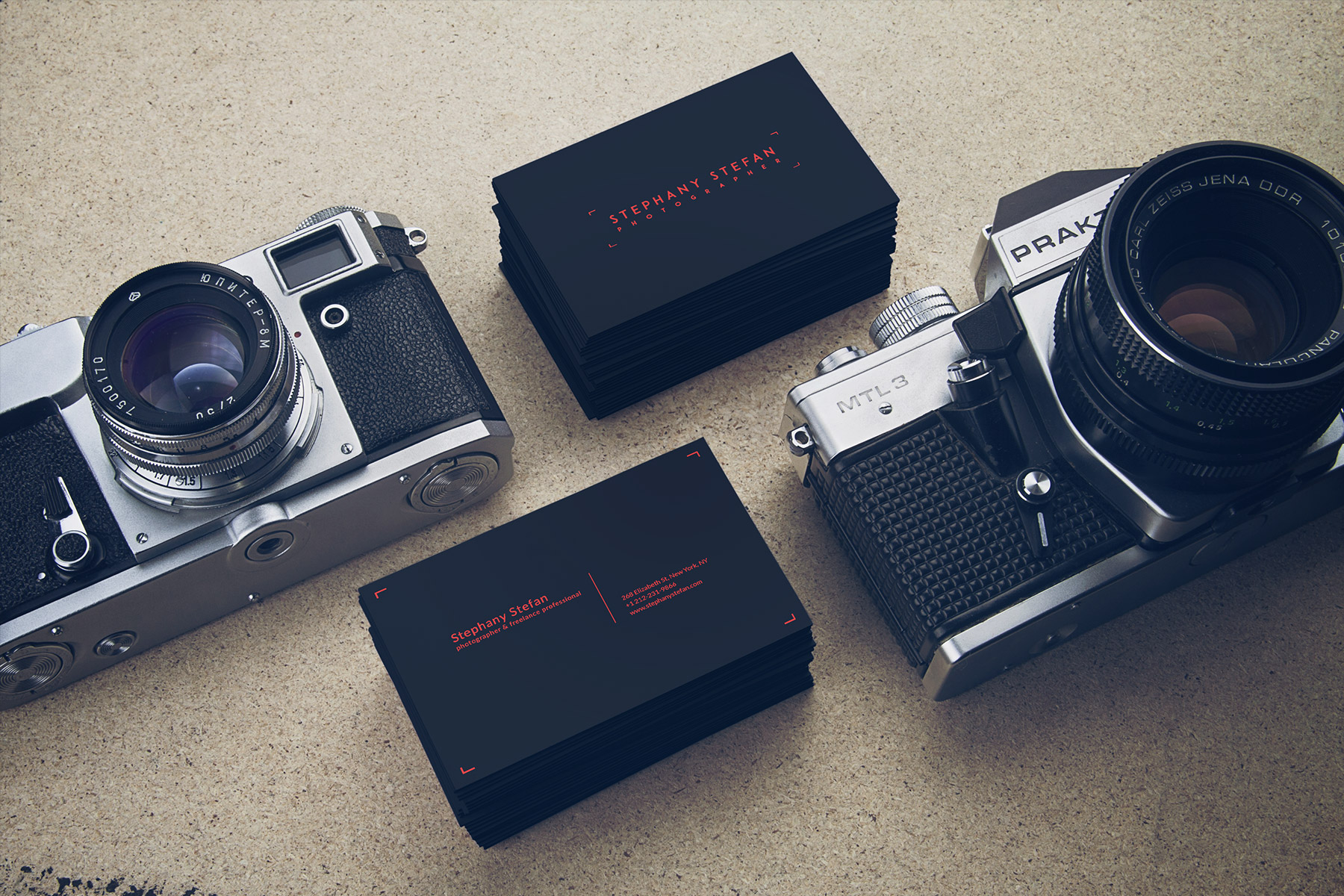 Stephany Stefan business cards surrounded by two analog cameras